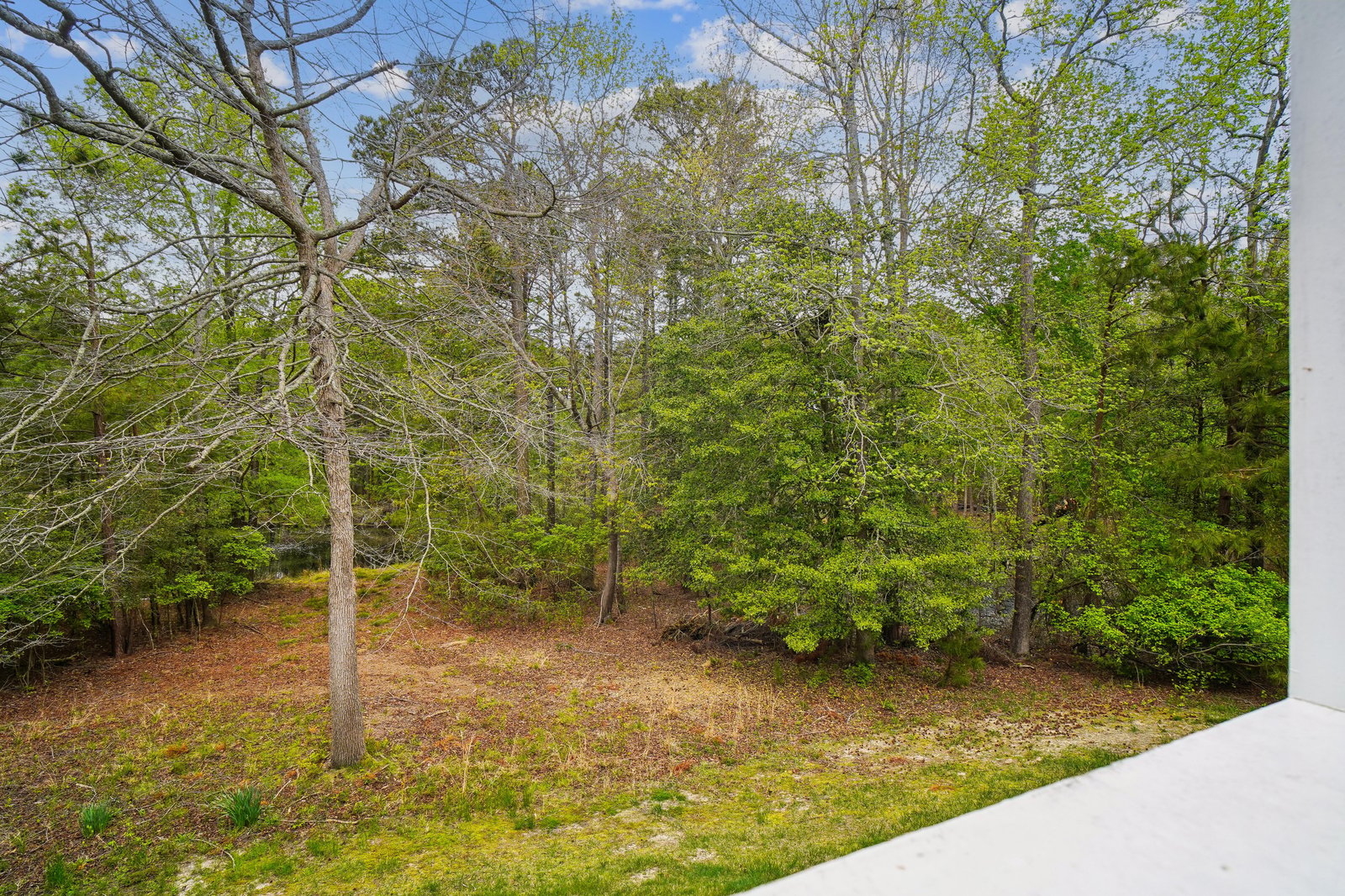A serene wooded landscape surrounds the property, offering natural beauty and peaceful seclusion. Mature trees and native foliage create a tranquil backdrop, enhancing the sense of privacy.