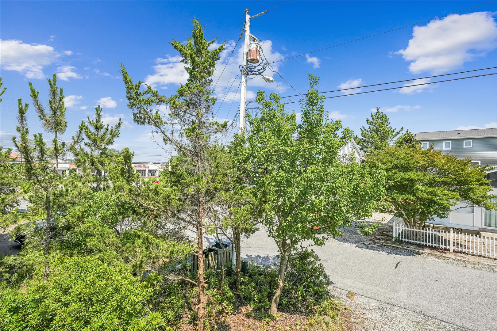Peaceful coastal neighborhood setting with mature trees and residential charm surrounding the property area.