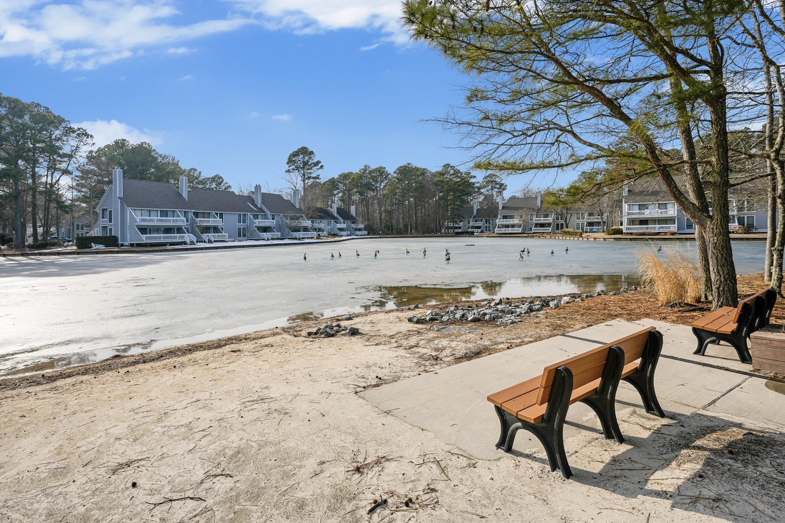 A peaceful waterfront setting with residential buildings nestled among pine trees, benches overlooking a tranquil lagoon, and sandy shores frequented by local wildlife—part of the surrounding coastal community.