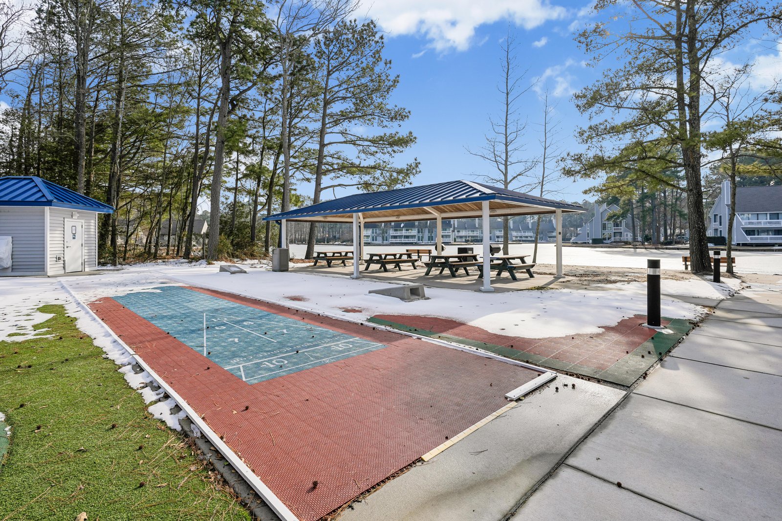 Community recreational area featuring shuffleboard court, covered picnic pavilion, and scenic pine tree surroundings under blue skies.
