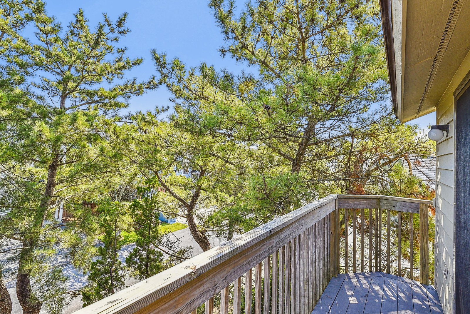 Step onto your private balcony and breathe in the fresh air. Sunlight filters through lush pine trees, creating a peaceful, natural setting just outside your door.