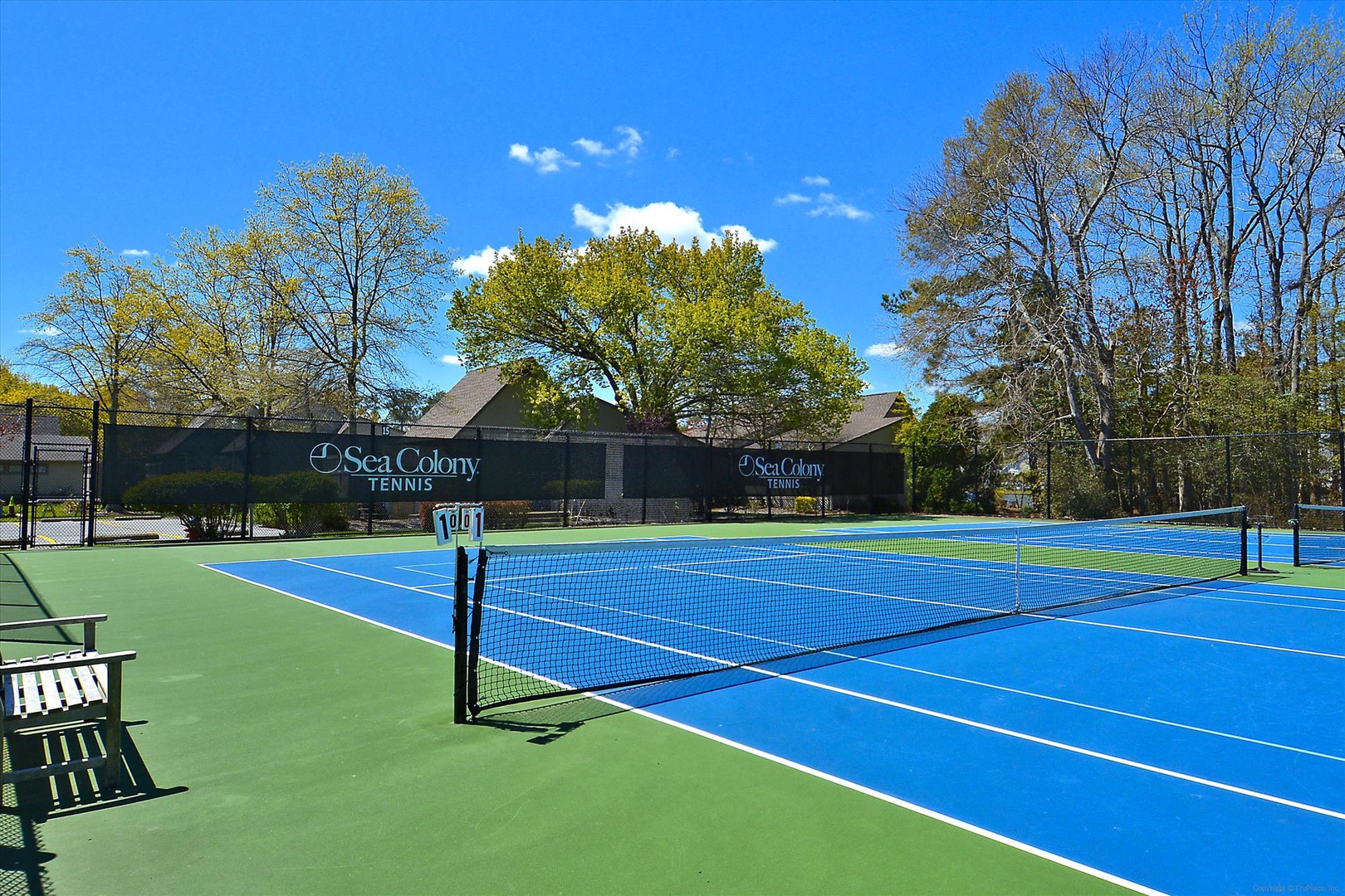 Professional tennis courts with blue surfaces set among mature trees and residential buildings under clear skies.