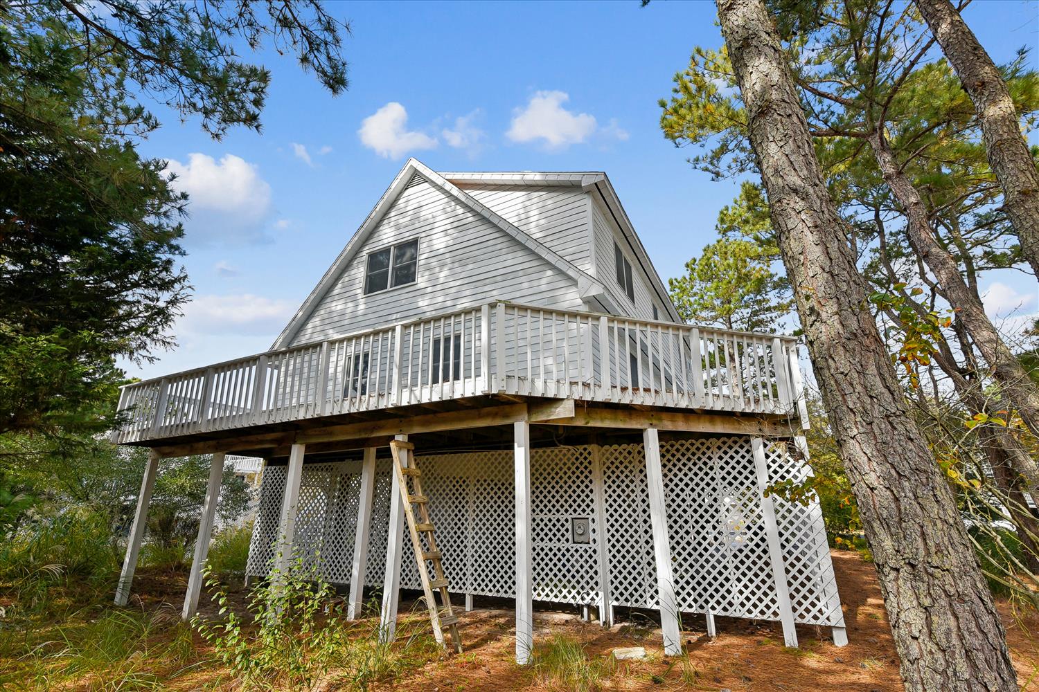 Charming coastal cottage nestled among mature trees with a spacious wraparound deck for outdoor relaxation.