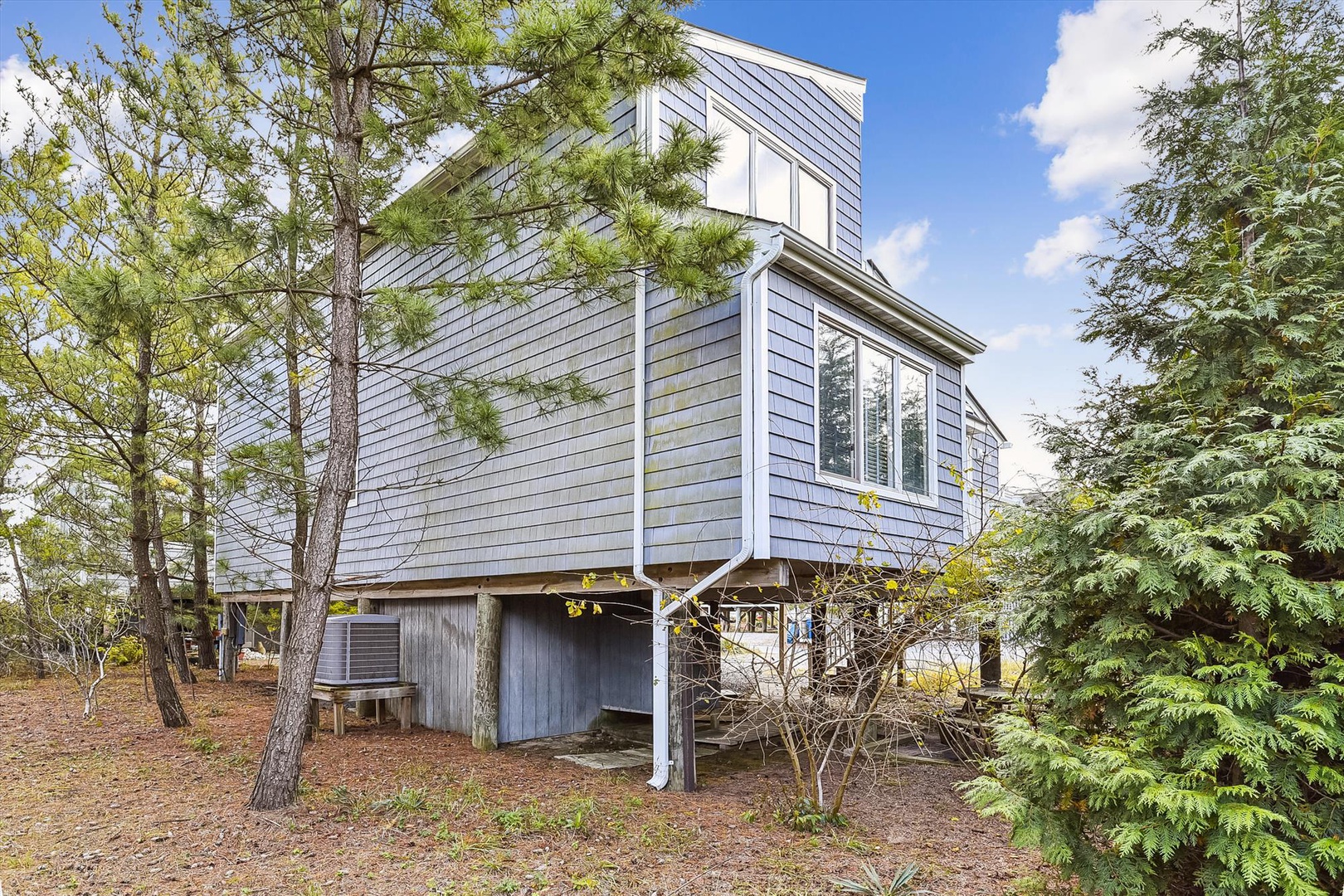 Modern elevated property nestled among pine trees, offering a secluded woodland retreat with convenient under-structure parking and natural landscaping throughout the grounds.