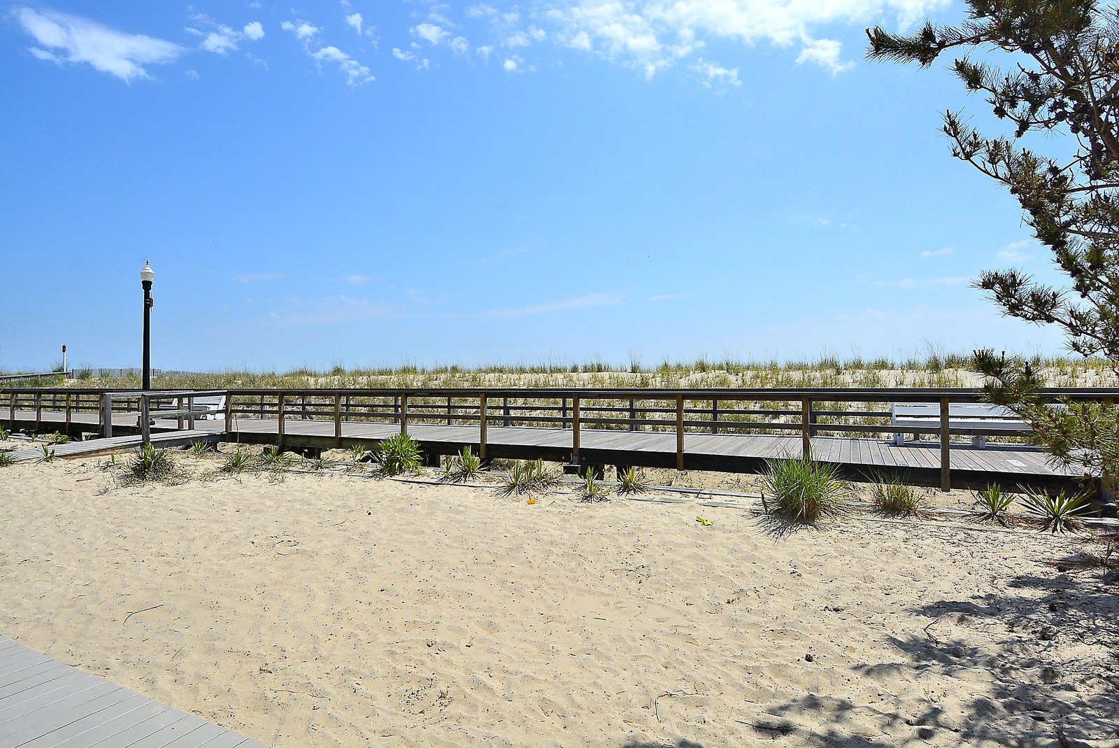 A scenic wooden boardwalk leads through dunes and beach grass, providing easy access to the sandy shoreline and coastal areas nearby.