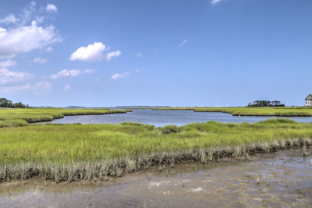 Bay Forest Amenity