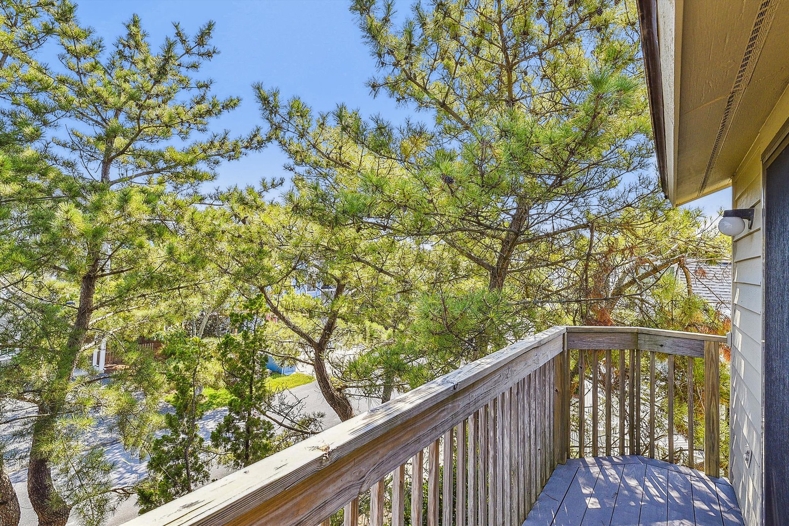 Step onto your private balcony and breathe in the fresh air. Sunlight filters through graceful pines, creating a tranquil canopy above your peaceful outdoor retreat.