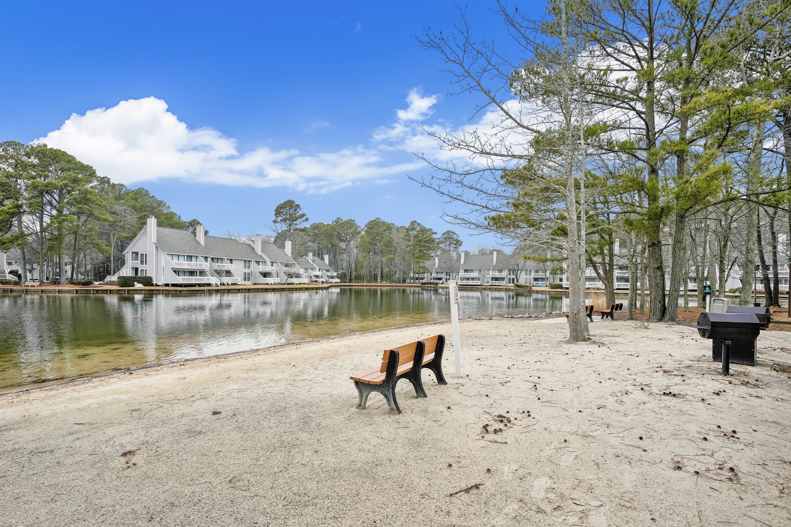 Sandy lakefront community with waterfront homes, peaceful benches, and BBQ grills nestled among towering trees under bright blue skies.