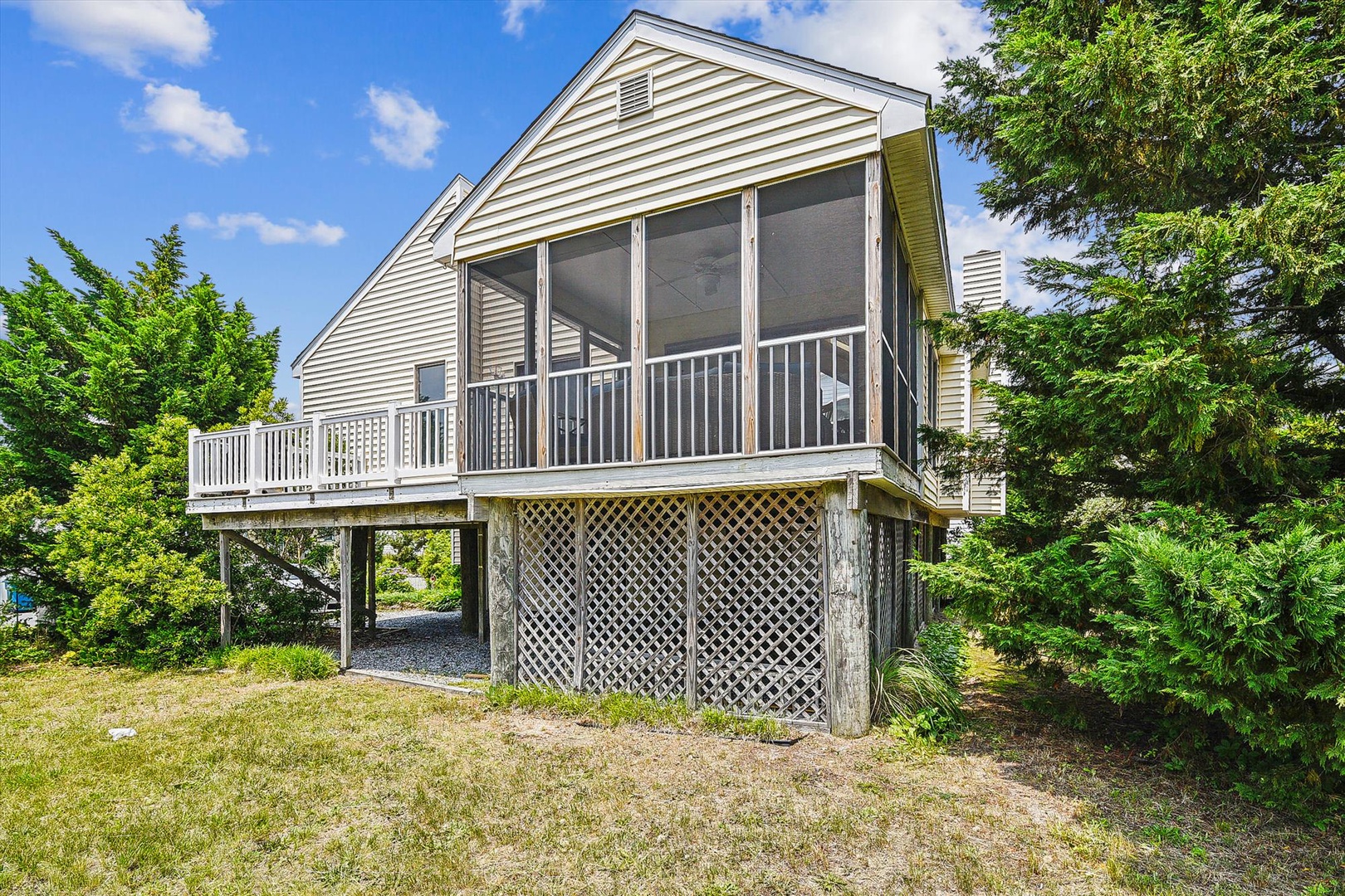 Elevated beach cottage with screened porch surrounded by lush greenery and open parking beneath the home. Private arrival experience with natural landscaping.