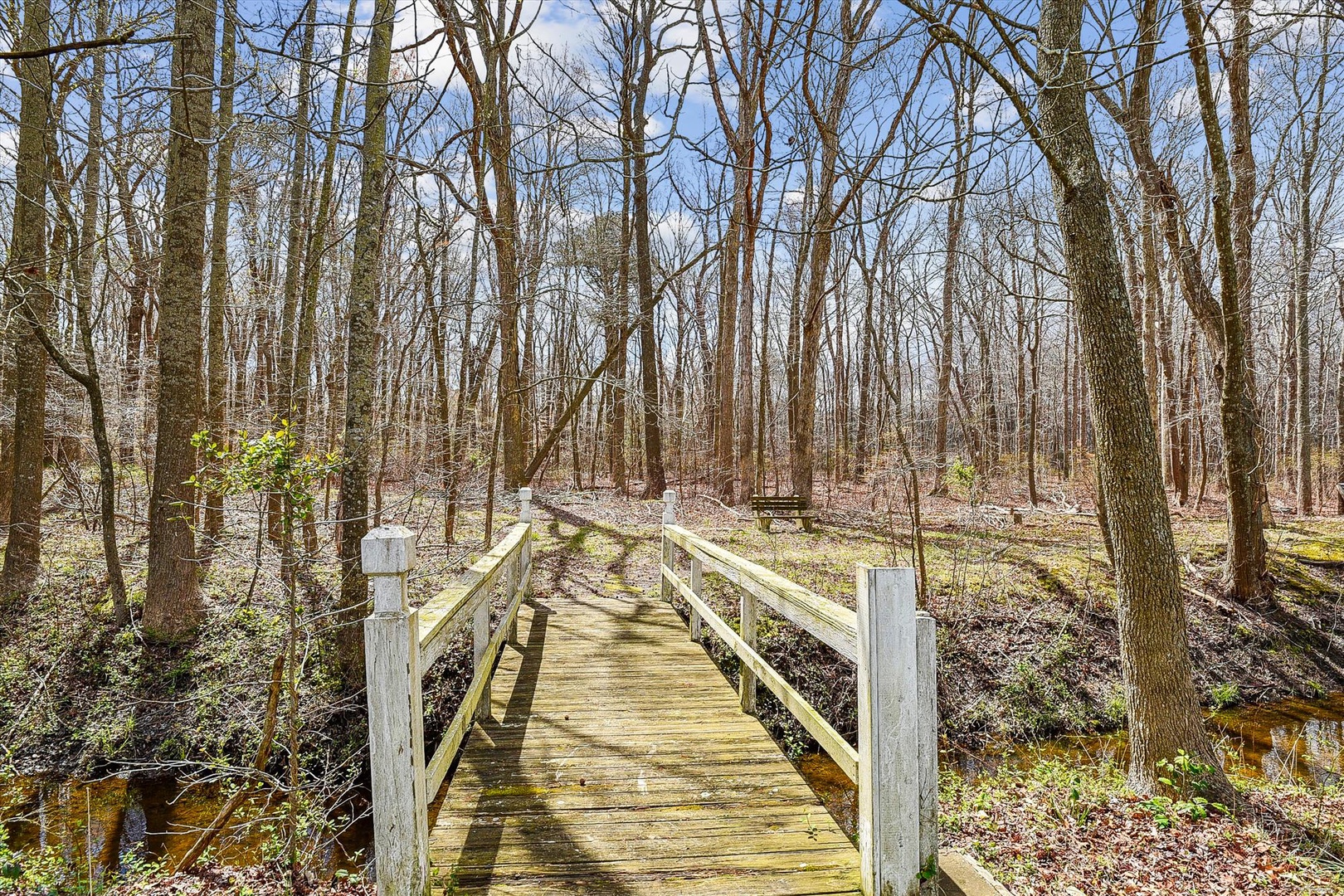 A wooden boardwalk winds through a peaceful forest, offering easy access to explore surrounding natural trails and seasonal woodland landscapes.