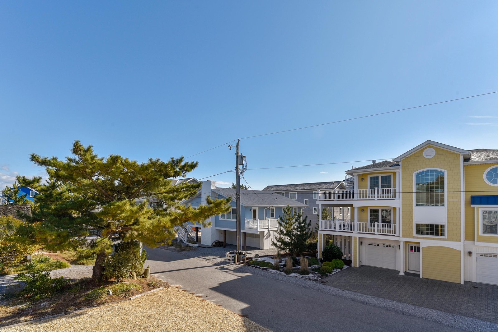 A charming coastal neighborhood with colorful beach homes and mature pines, perfect for your seaside getaway.