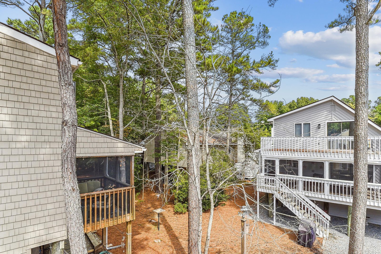A serene wooded retreat awaits, where tall pines frame multi-level decks perfect for morning coffee or evening relaxation among nature.