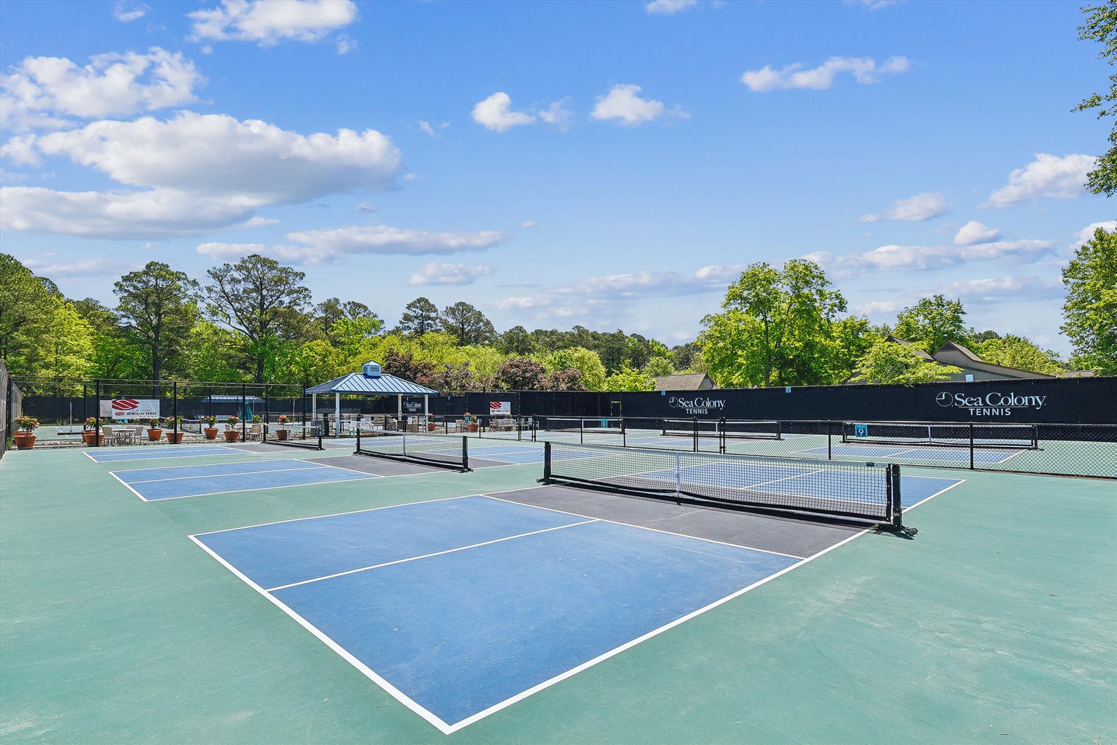 Professional tennis courts with Sea Colony Tennis branding, set against lush tree-lined surroundings, offering guests on-site recreational opportunities in a well-maintained outdoor facility.