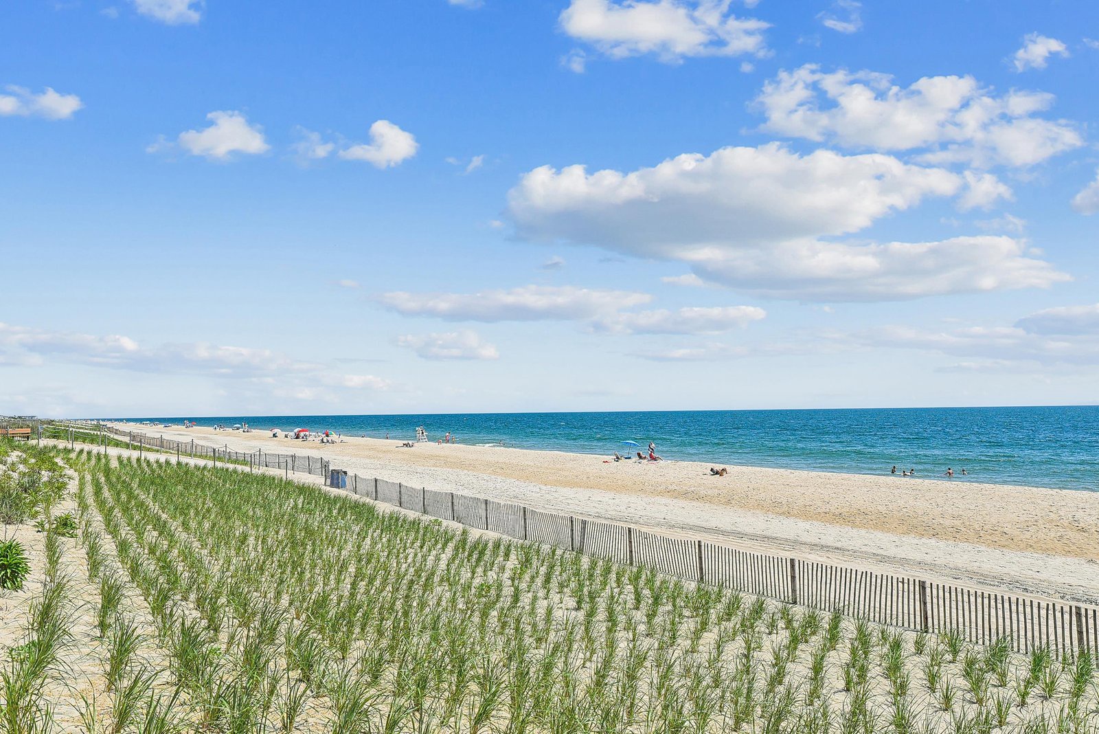 A pristine sandy beach stretches along calm turquoise waters, framed by natural dune grasses and a bright summer sky perfect for a coastal getaway.