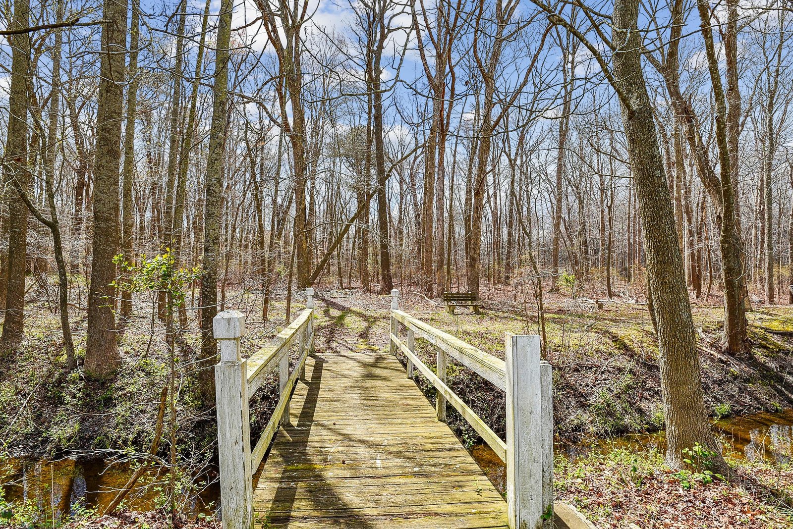 A wooden footbridge winds through the surrounding forest, offering a scenic nature walk through towering hardwoods and native vegetation during the cooler months.