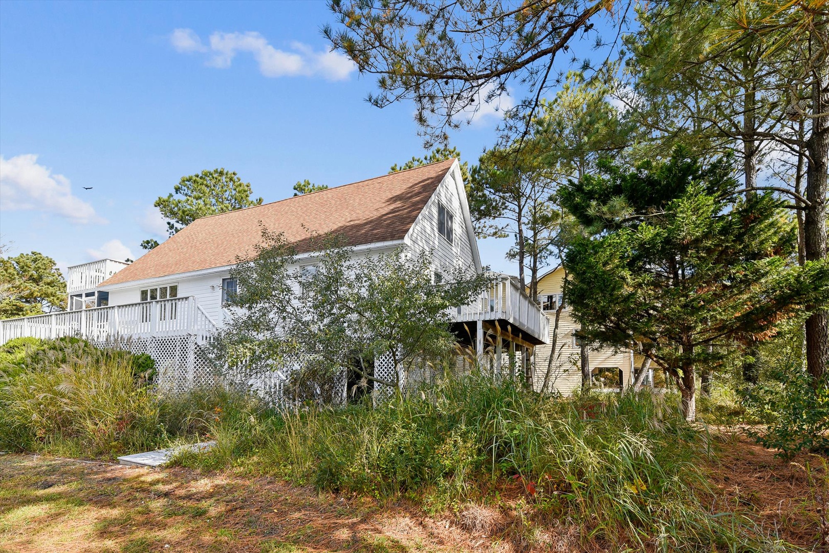 Charming coastal retreat nestled among towering pines and natural vegetation, offering peaceful seclusion just steps from the beach.
