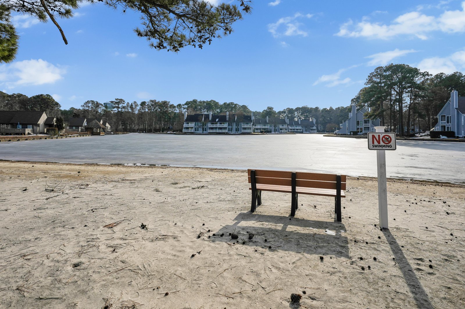 Sandy waterfront with bench overlooking a calm bay, framed by pine trees and charming vacation cottages along the peaceful shoreline.