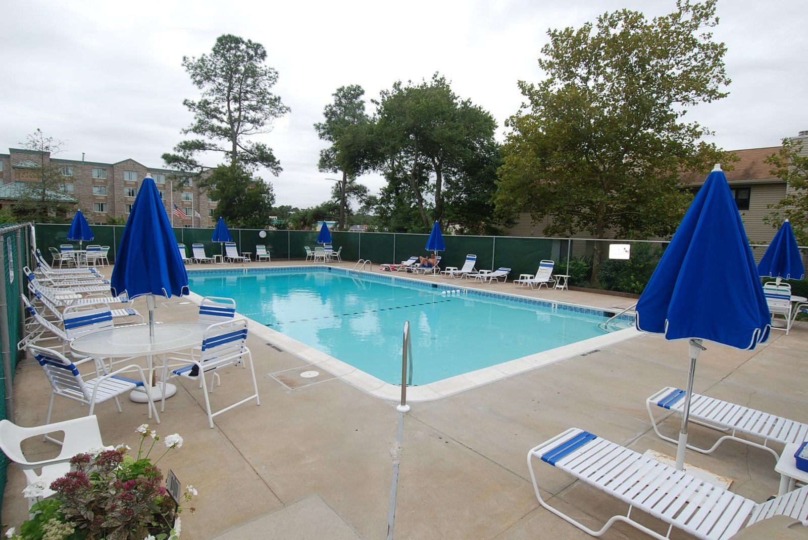 This inviting outdoor pool features plenty of loungers and blue umbrellas, surrounded by mature trees that create a peaceful, private atmosphere perfect for sunny afternoons.