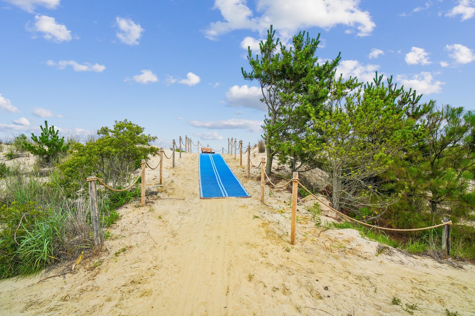 The accessible sandy path leads through coastal pines and dunes, welcoming guests of all abilities to reach the beach beyond.