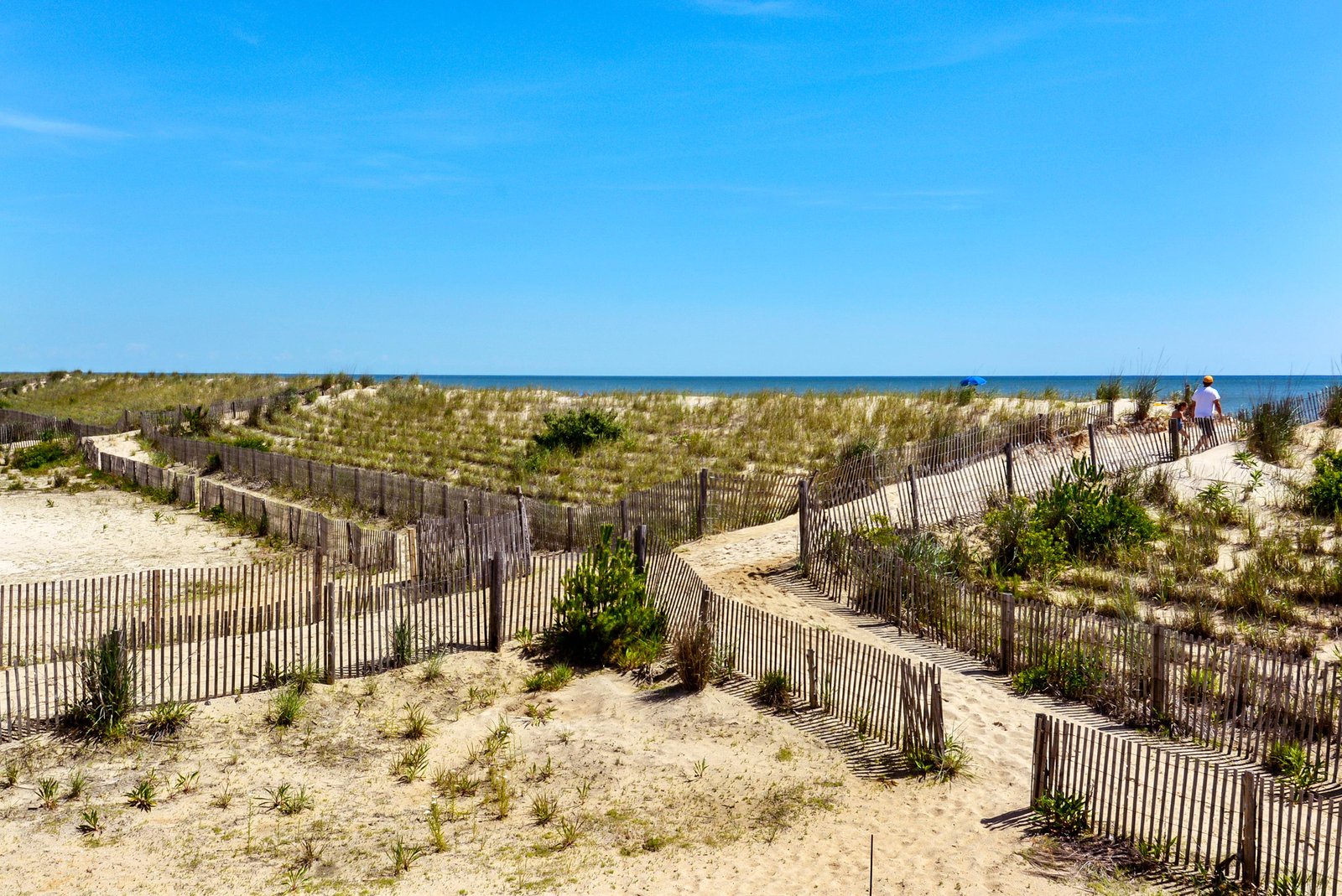 Beach access pathway leads through natural dunes and coastal vegetation, just moments from the sparkling shoreline that awaits your next seaside adventure.