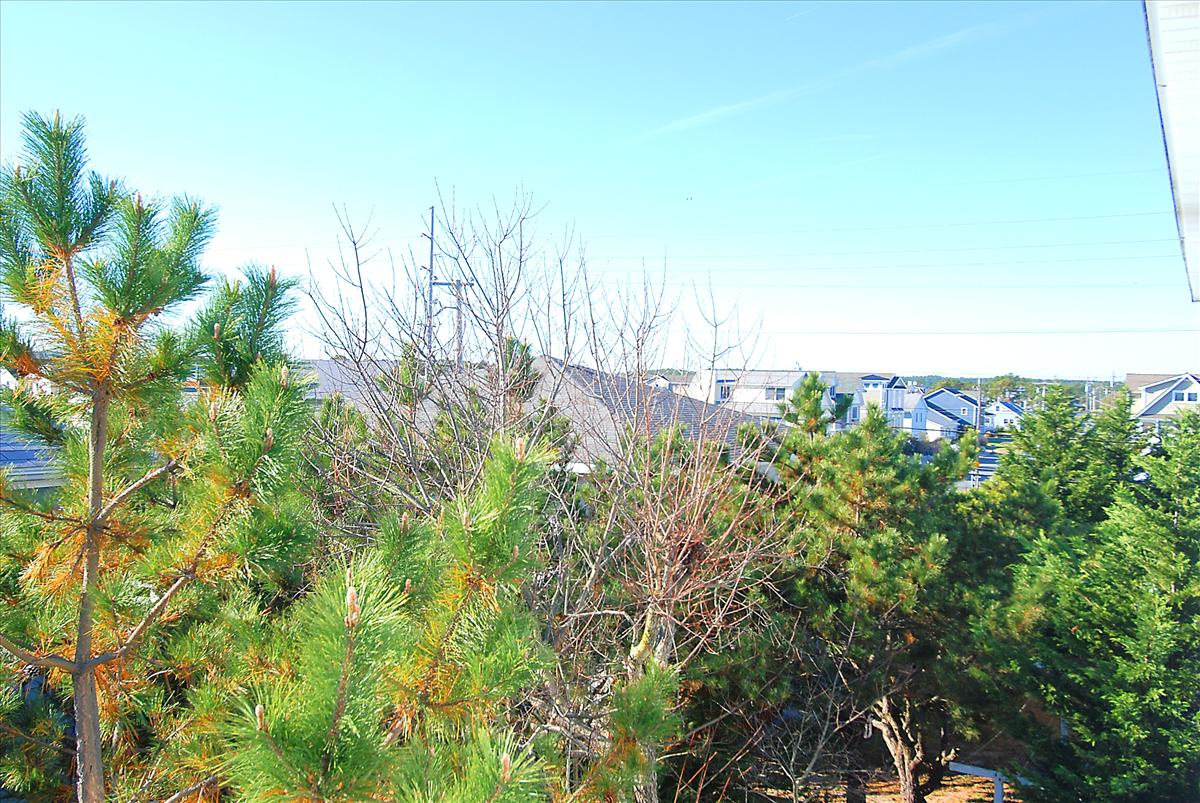 mainupper level-view-dsc_9221