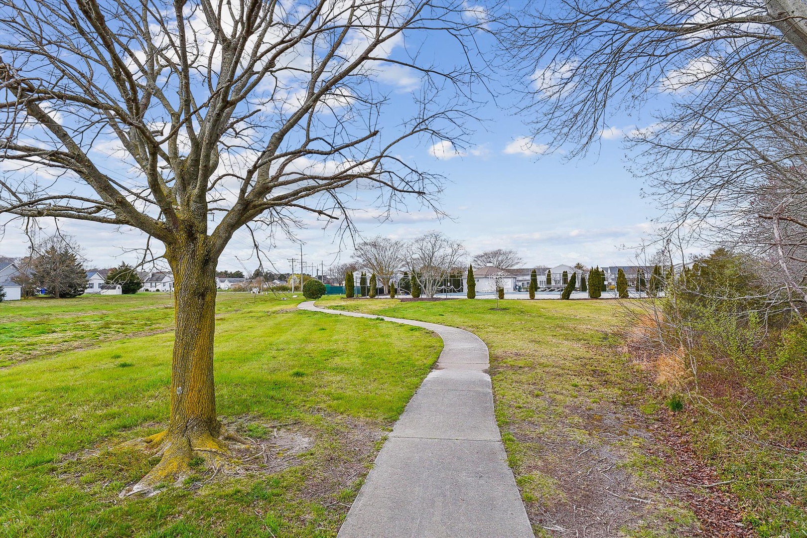 A peaceful waterfront neighborhood setting features a winding pathway through open green spaces, with scenic water views and mature trees dotting the landscape.