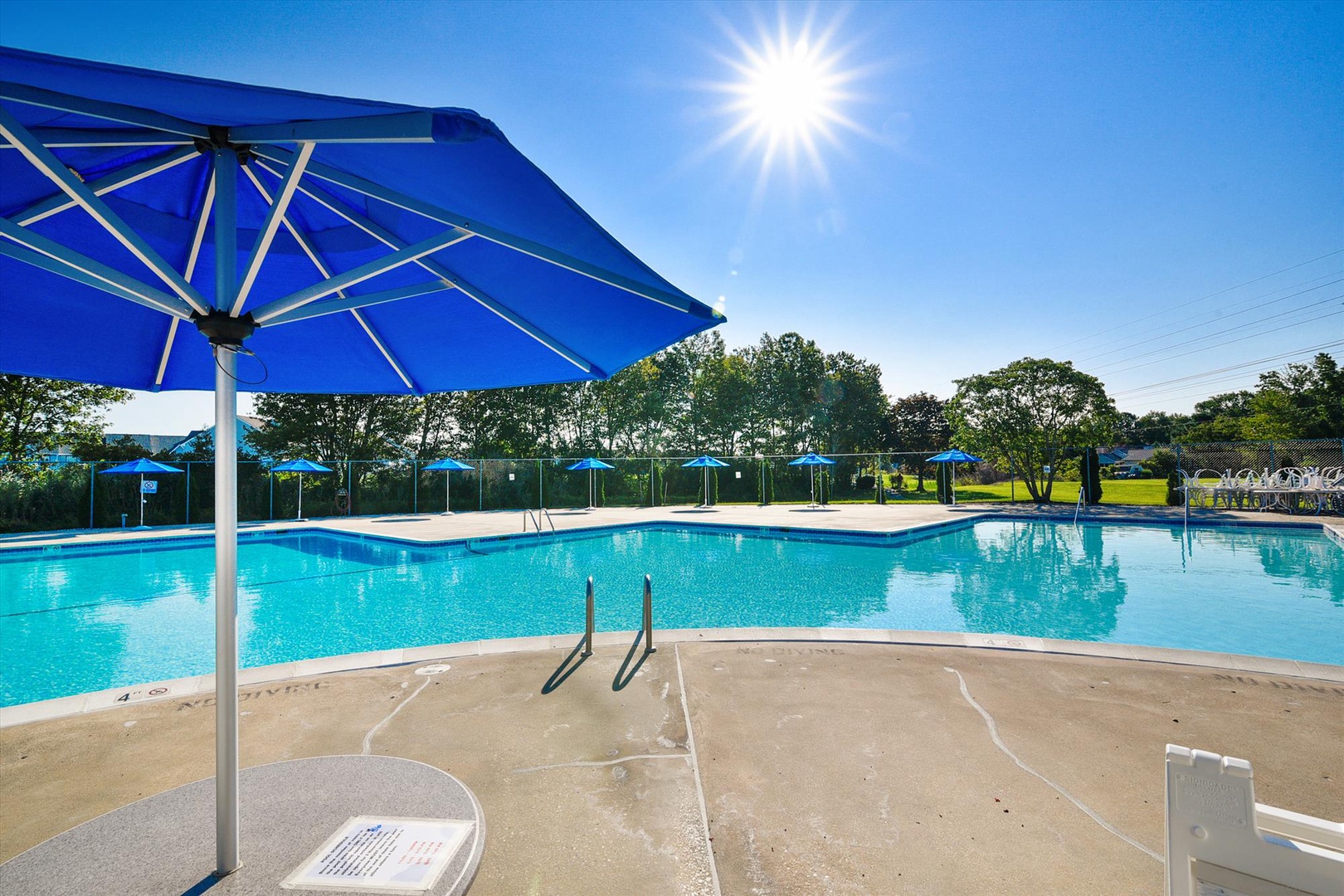 Expansive outdoor swimming pool framed by mature trees and rolling green lawns, featuring shaded umbrella areas and pool-side lounging under clear sunny skies.