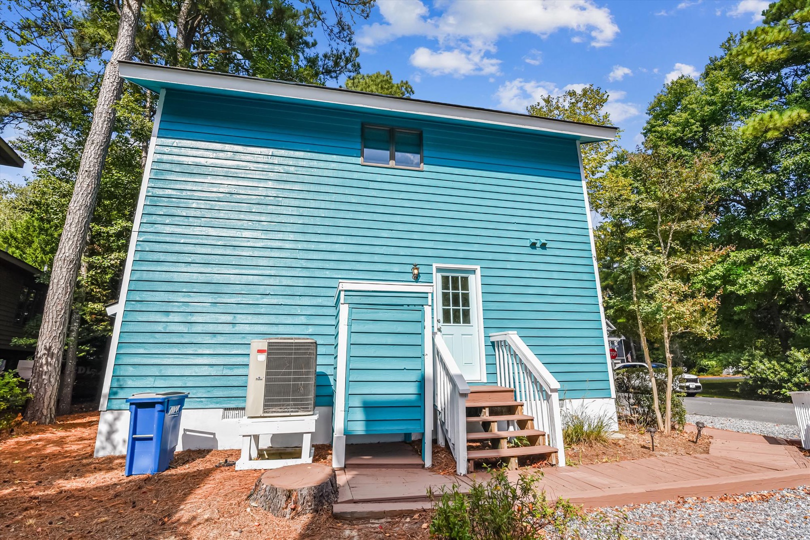 Charming blue cottage nestled among towering trees offers a peaceful forest retreat with modern conveniences and elevated entrance.