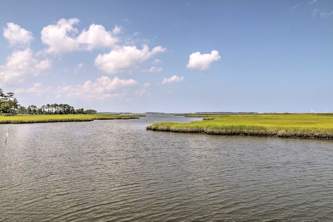 Bay Forest Amenity