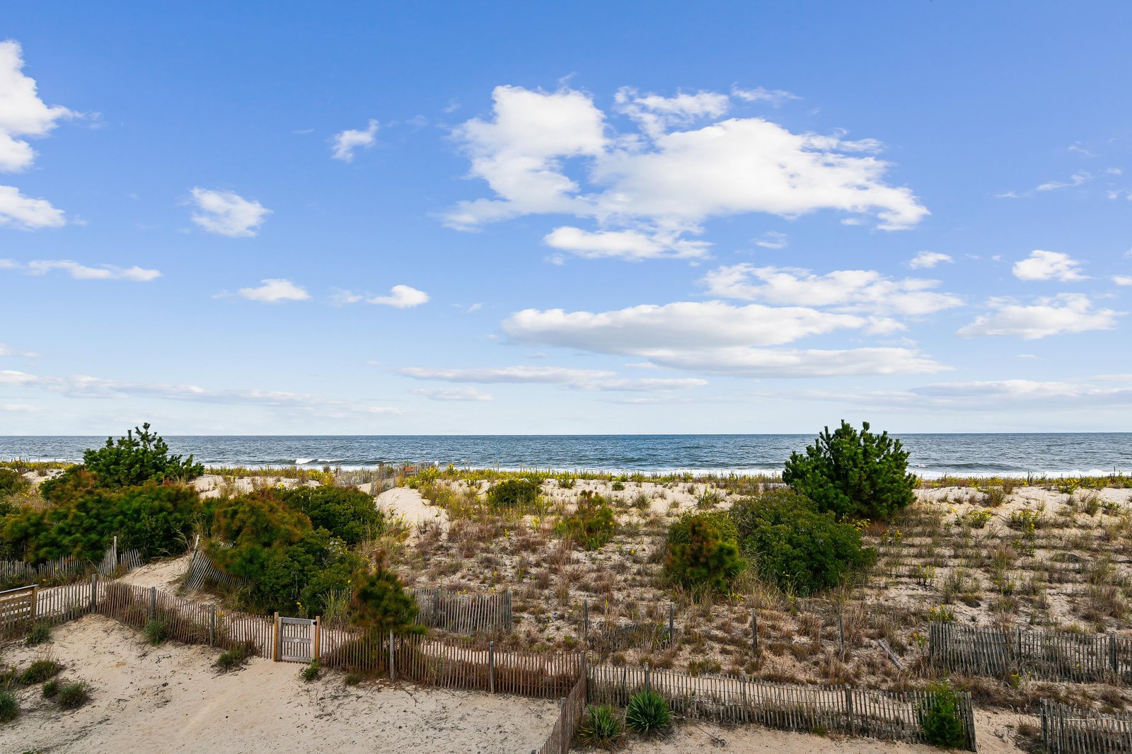 A serene coastal landscape features natural dunes with native vegetation leading to calm ocean waters under a bright blue sky dotted with soft clouds.