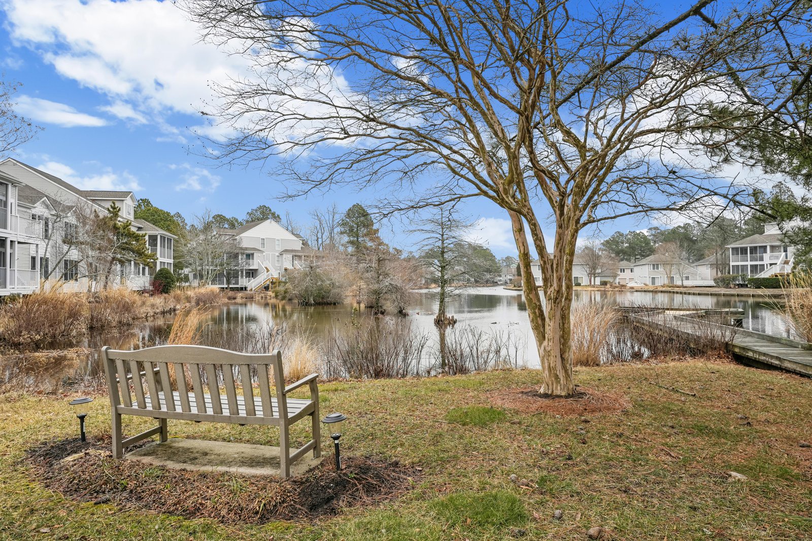 A tranquil pond surrounded by residential buildings, with a wooden bench beneath a mature tree offering a peaceful spot in the community common area.