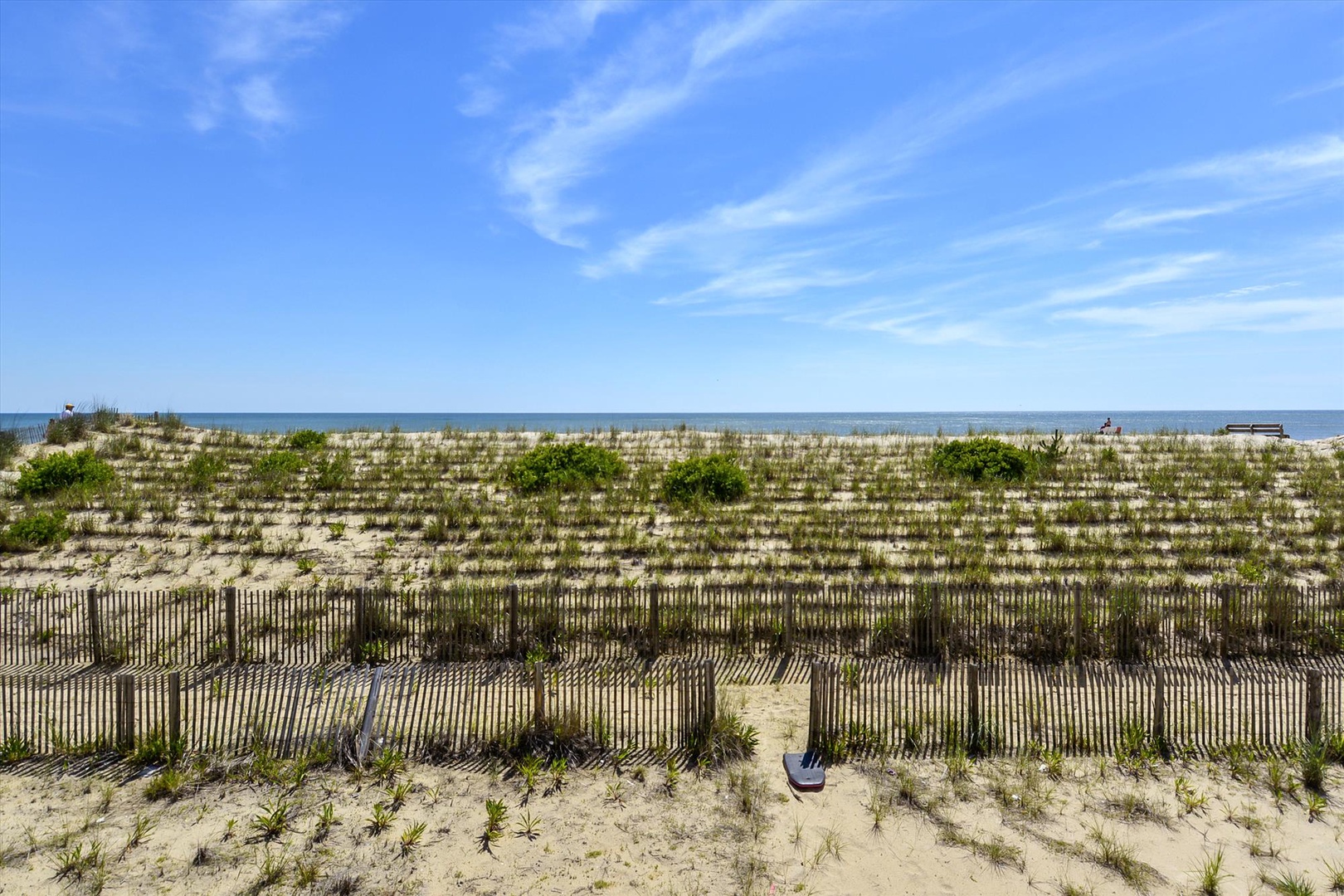 Sandy beach framed by protective dunes and native coastal grasses, with the Atlantic Ocean stretching to the horizon under a summer sky.