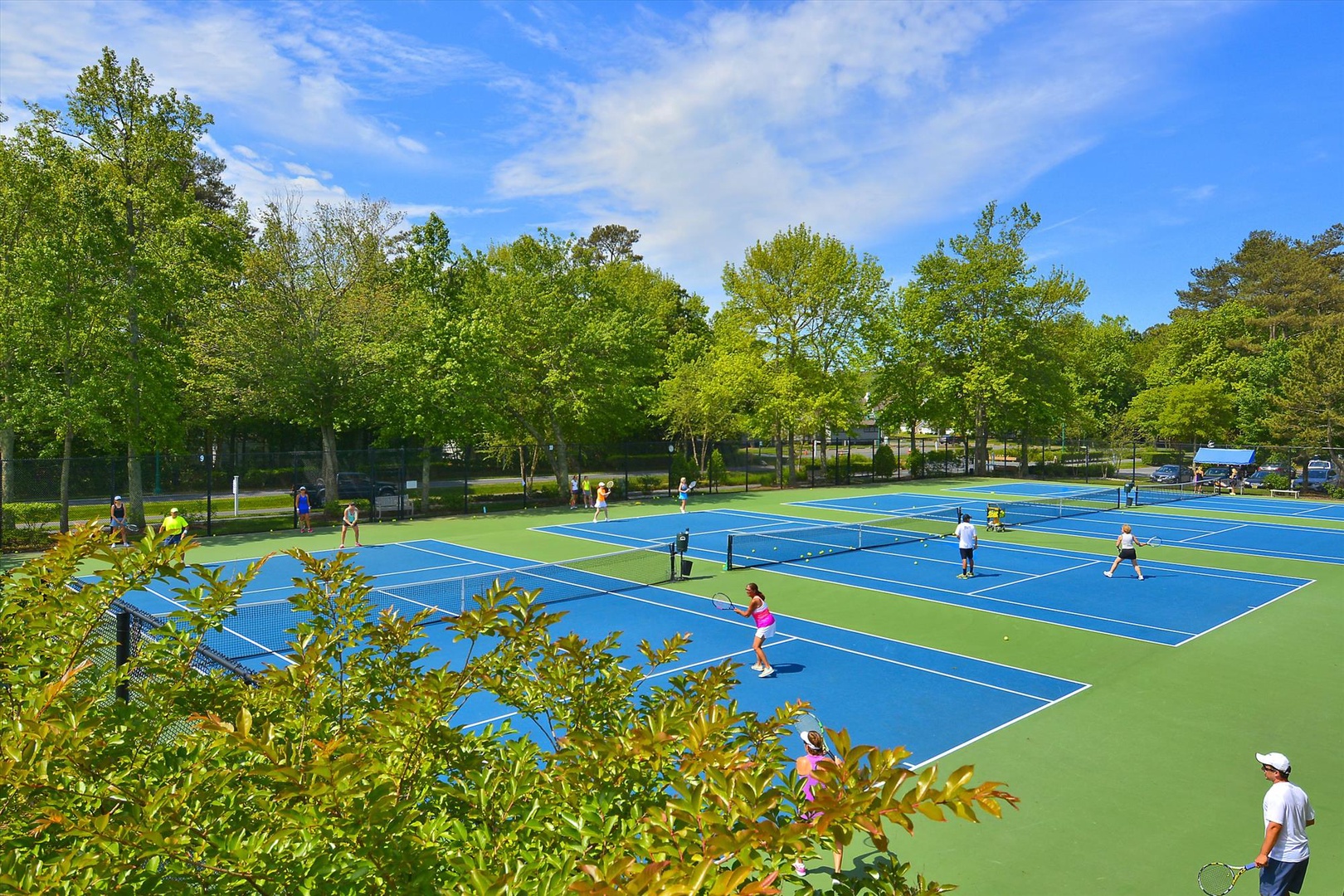 Vibrant outdoor tennis courts nestled among lush greenery, offering multiple playing surfaces for active recreation and friendly competition.