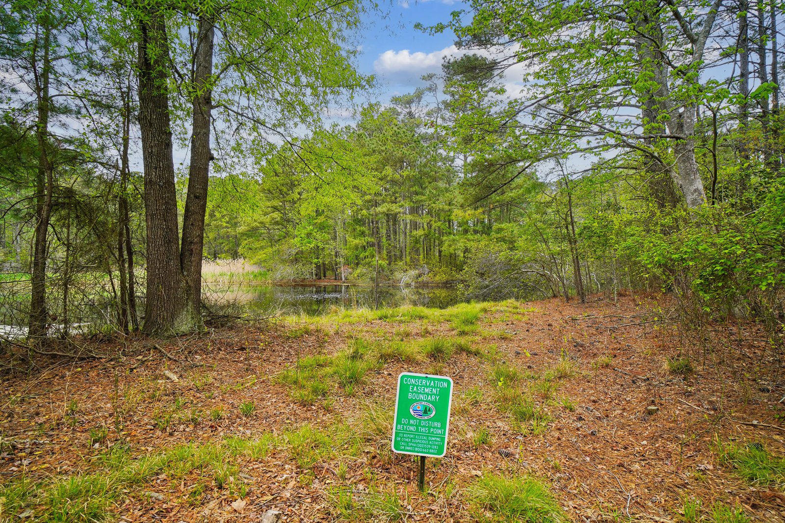 Surrounded by serene conservation land, this property backs onto protected natural landscape, offering tranquil woodland views and peaceful nature trails right at your doorstep.
