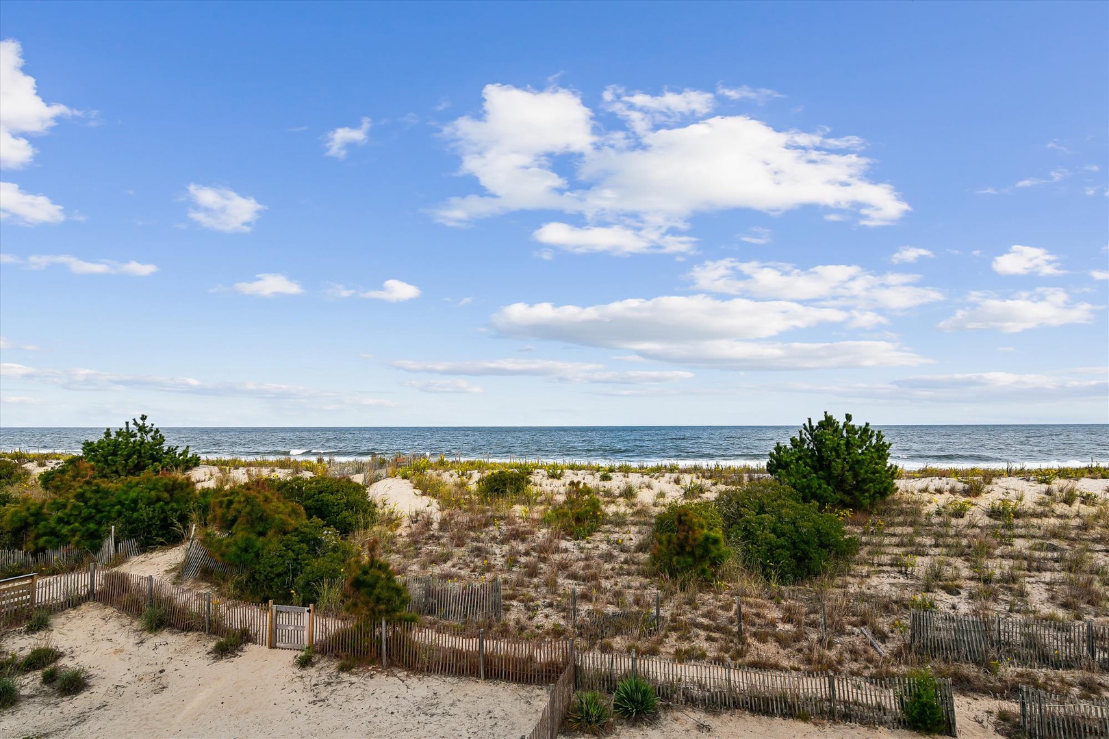 Serene coastal landscape featuring sandy dunes, natural beach vegetation, and ocean views under a bright blue sky with scattered clouds.