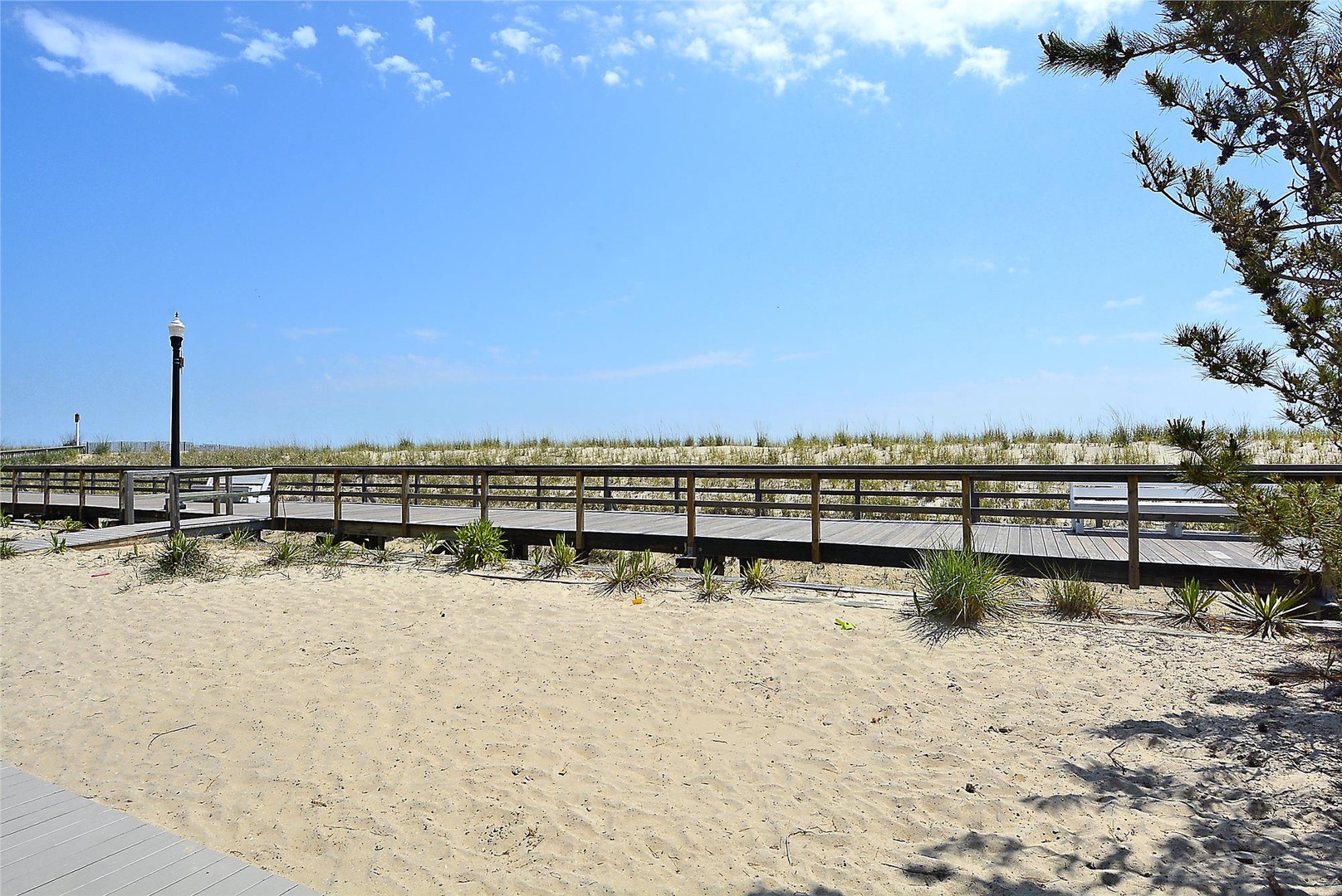 Sandy beachfront with wooden walkway and coastal vegetation under clear blue skies.