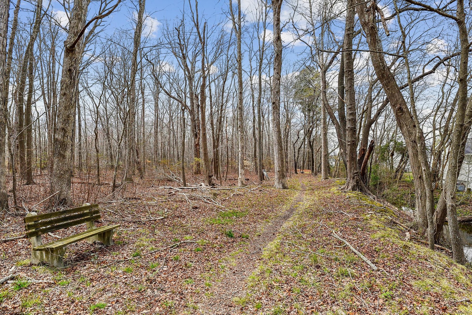 A peaceful wooded trail winds through the property's natural landscape, bordered by towering trees and rustic benches—a serene spot to pause and enjoy the surrounding forest.