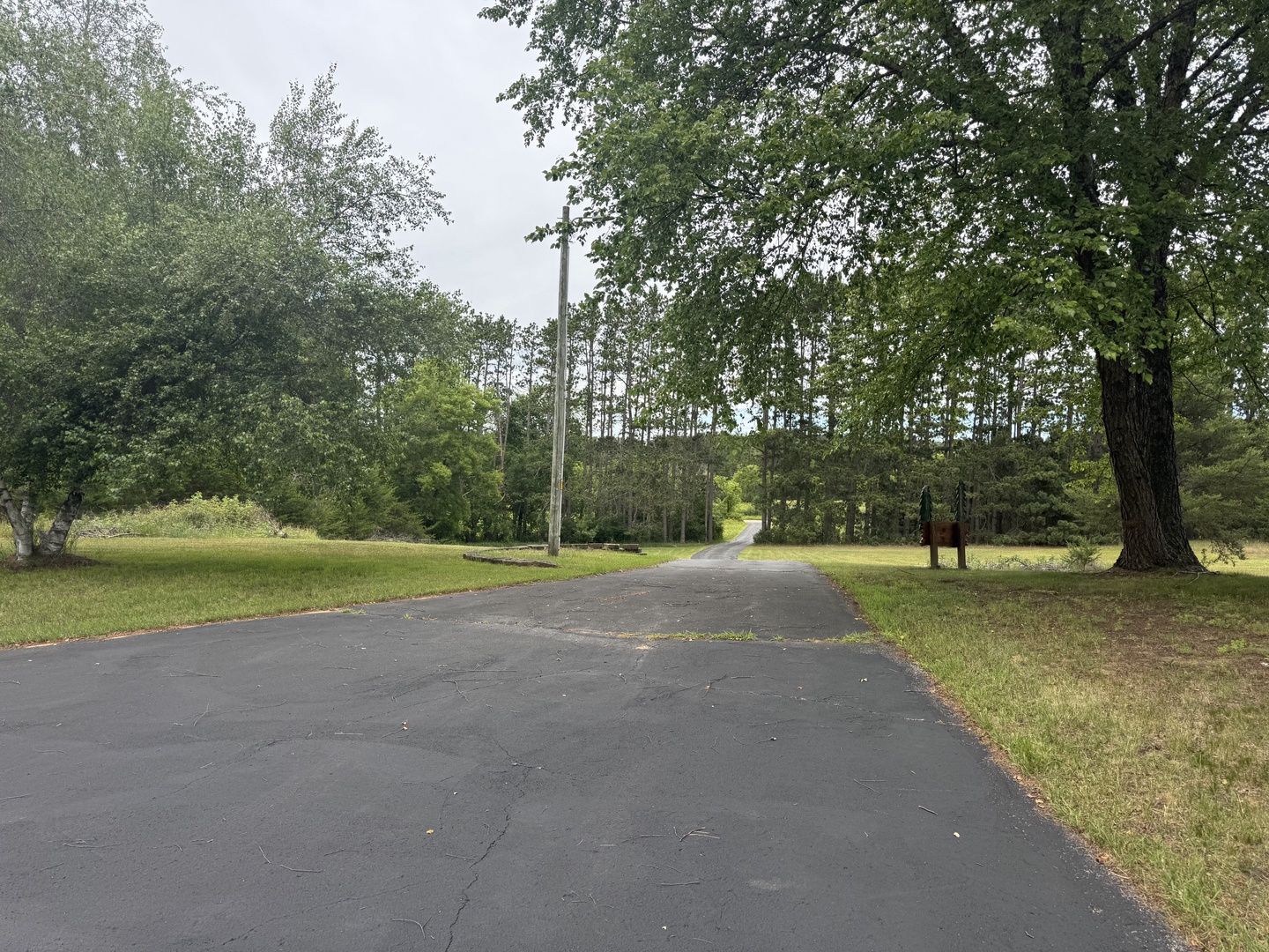 A peaceful, tree-lined entrance driveway sets the scene for a secluded countryside retreat surrounded by mature trees and natural greenery.