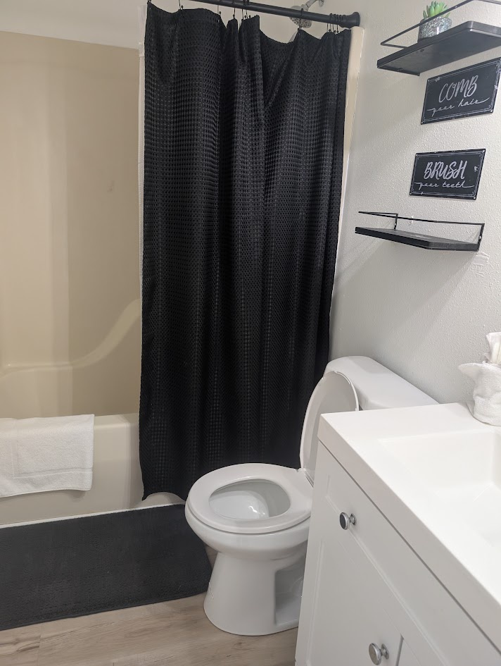 Lower level Bathroom