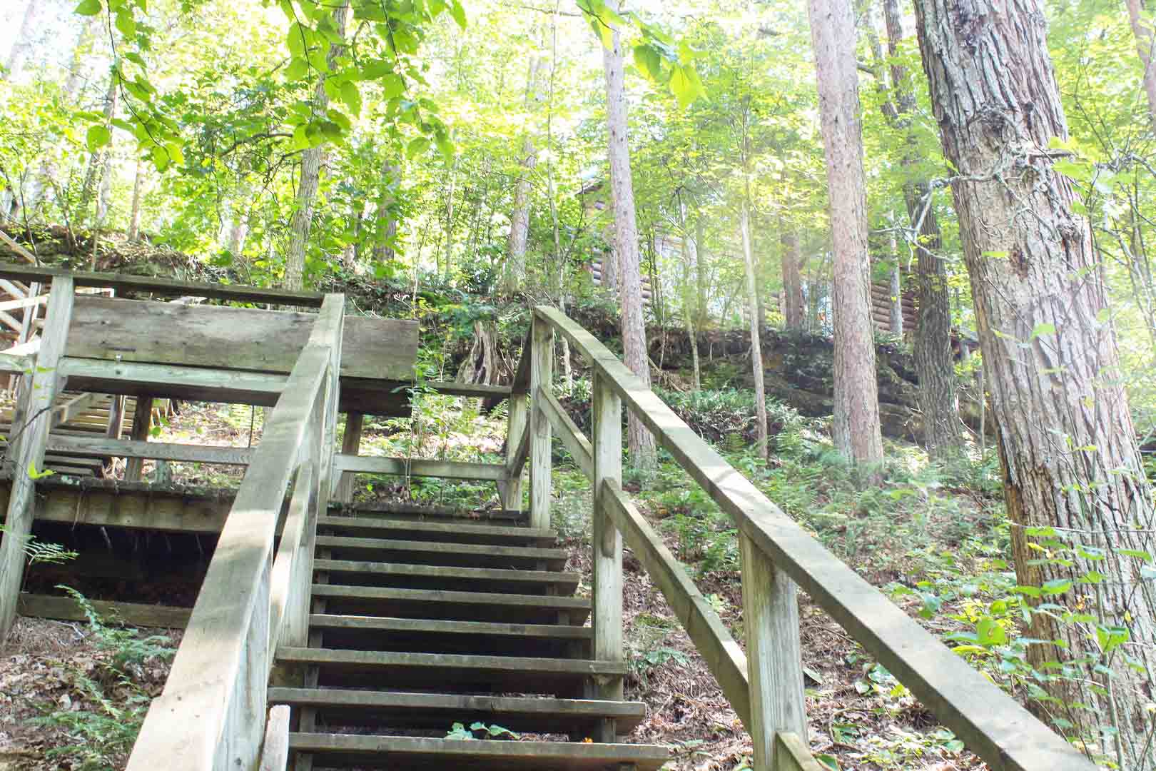 Stairs Down to Water