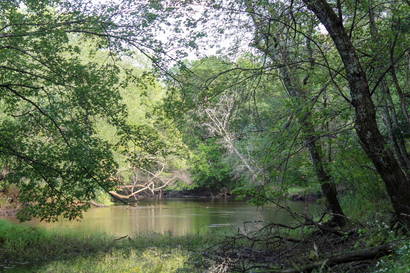 Access to Lemonweir River