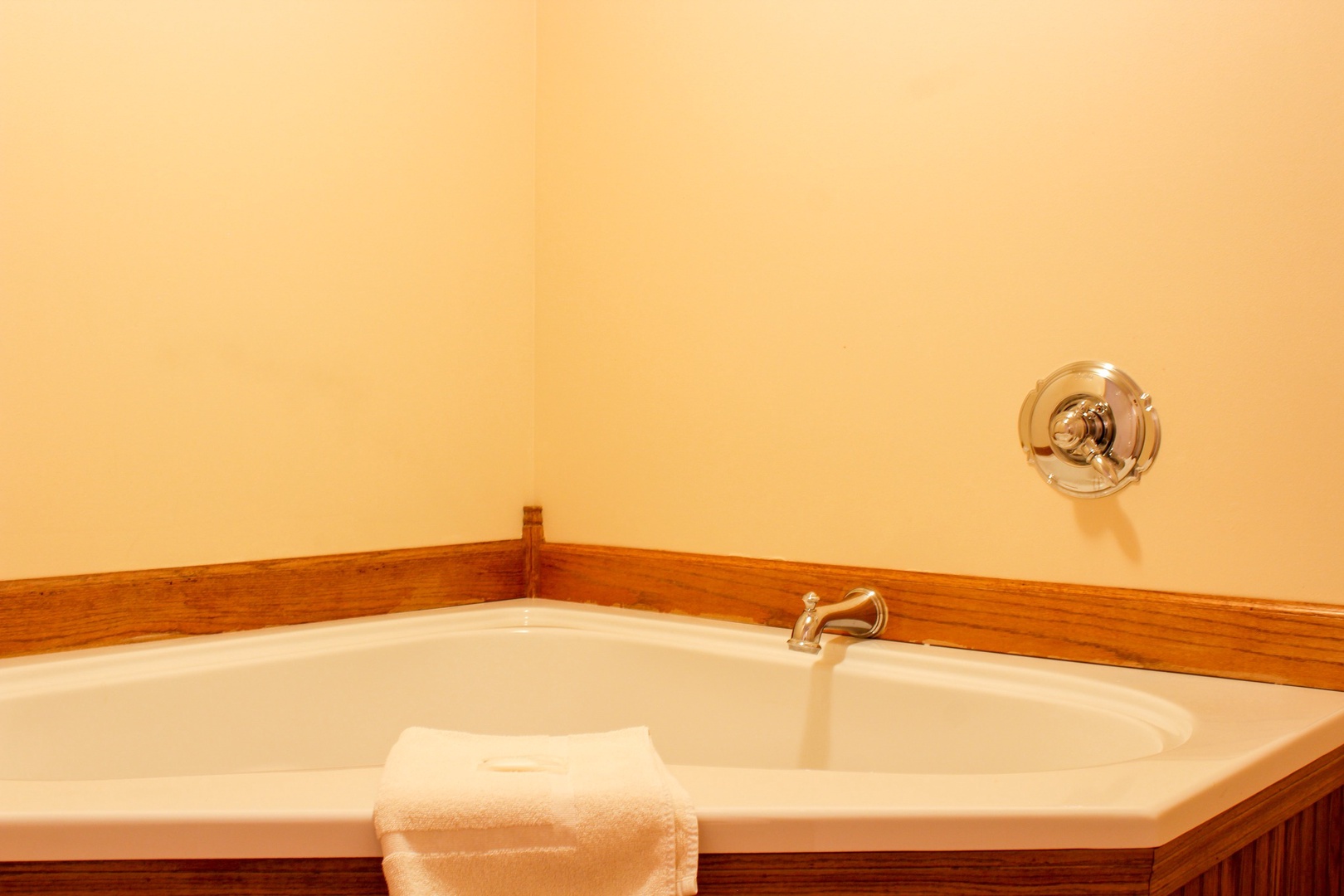 Master Bedroom Jacuzzi