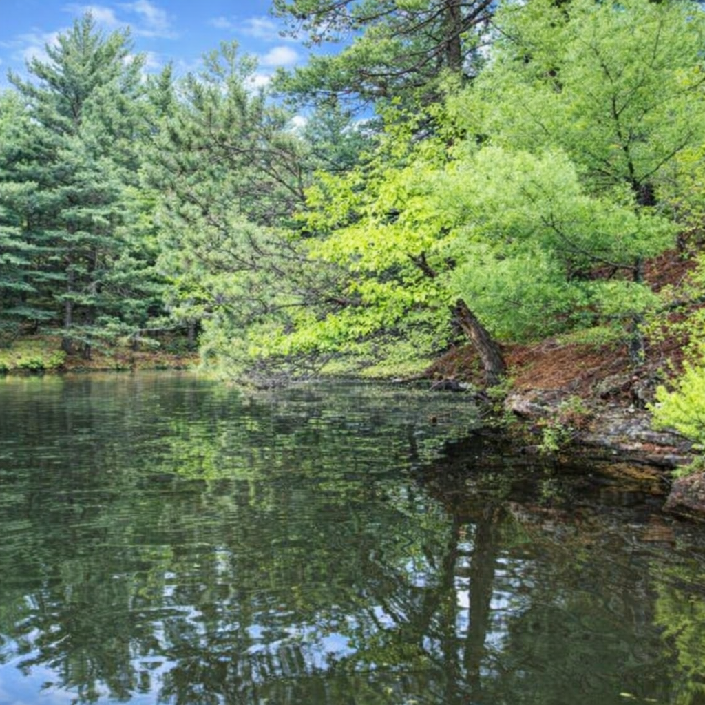 Lake shore sand stone wall