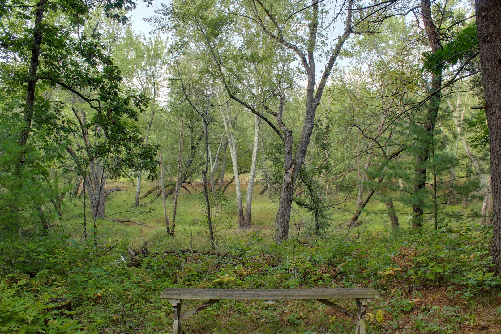 Seating Down By River