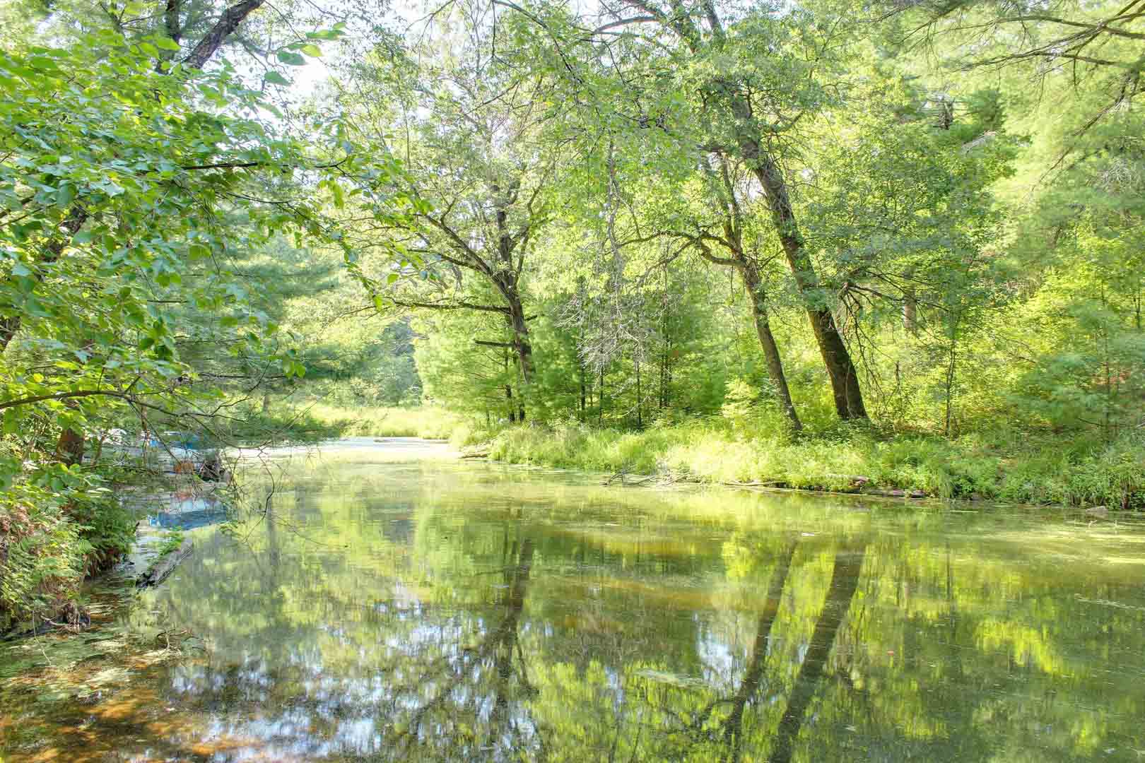 Pickerel Slough-Canal of Mirror Lake