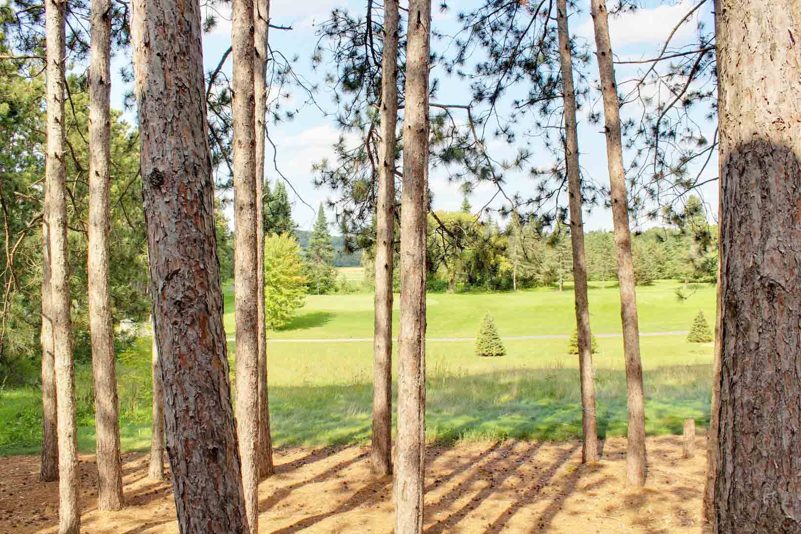 View Overlooking Golf Course