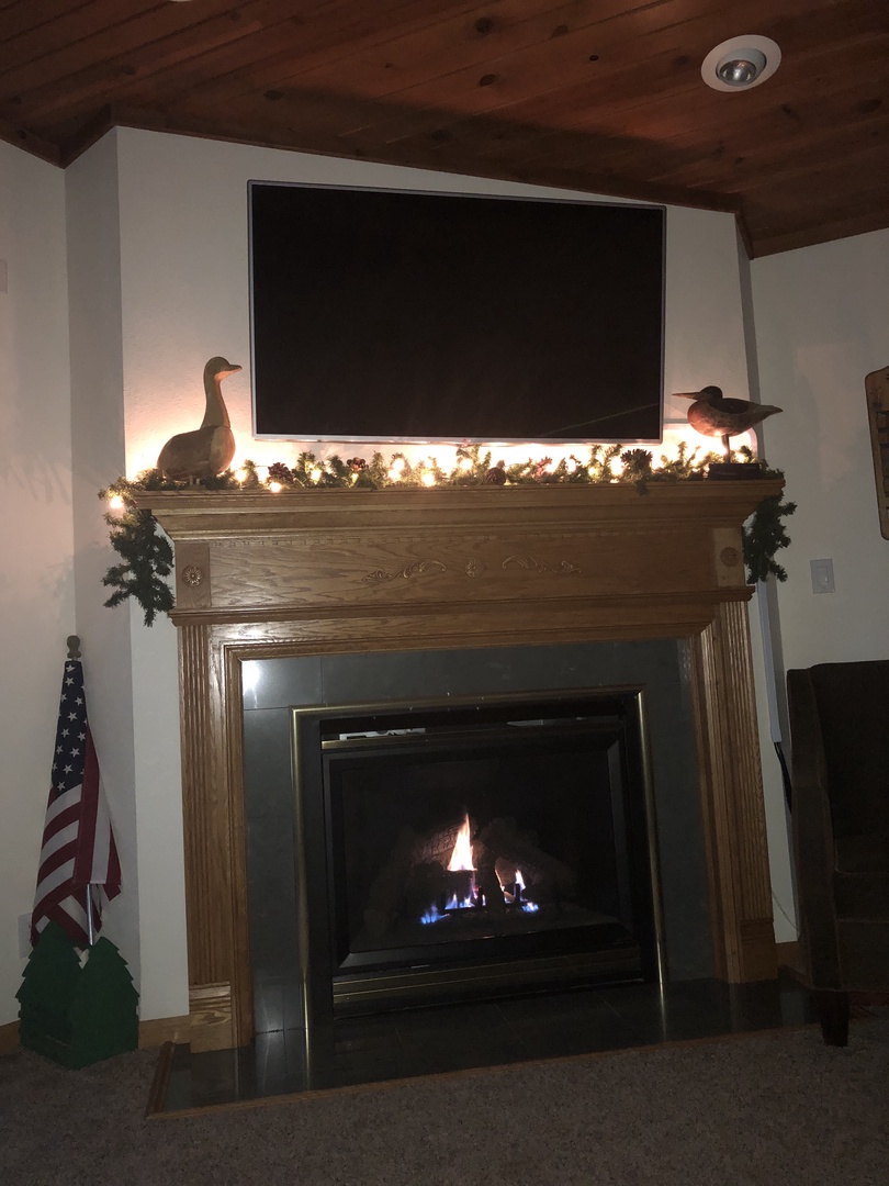 1050D Fireplace2