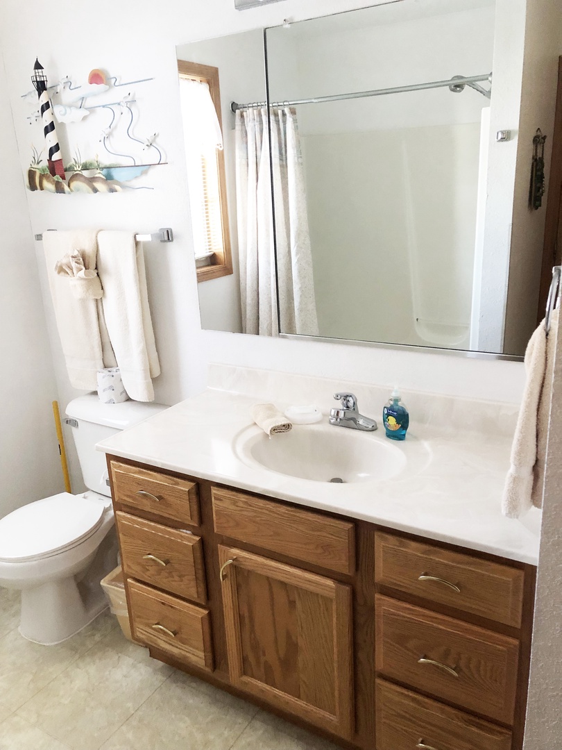 1050D Tub Shower Combo