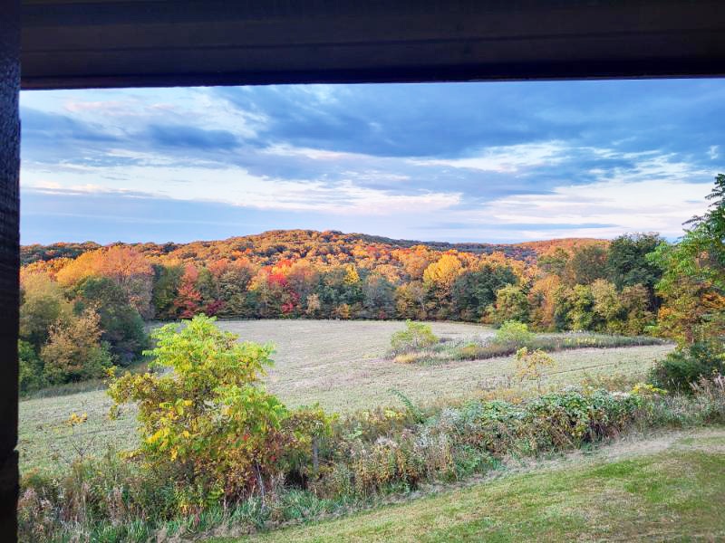 PVL view from deck