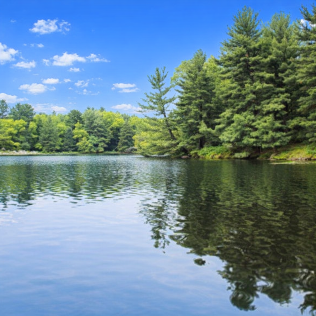 Blass Lake